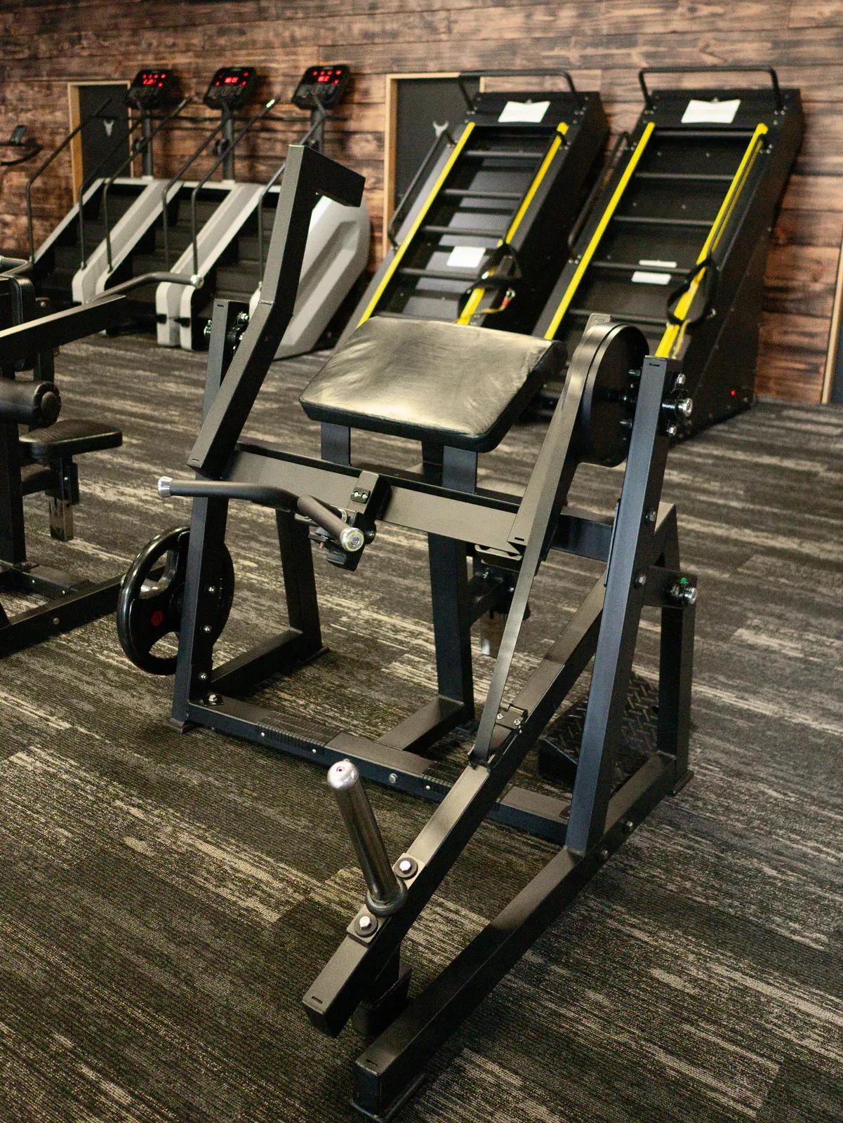 Plate-Loaded Barbell Bicep Curl at Inception Gym Christchurch
