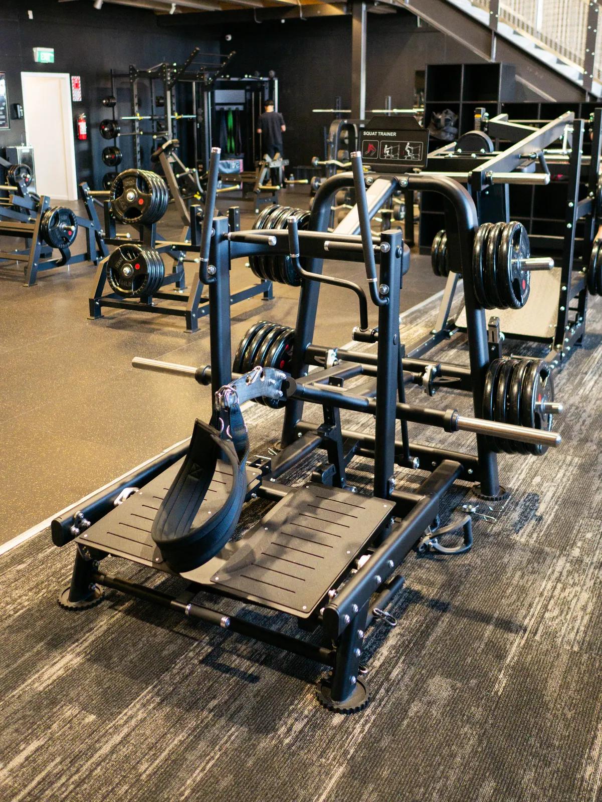 Plate-Loaded Belt Squat at Inception Gym Christchurch