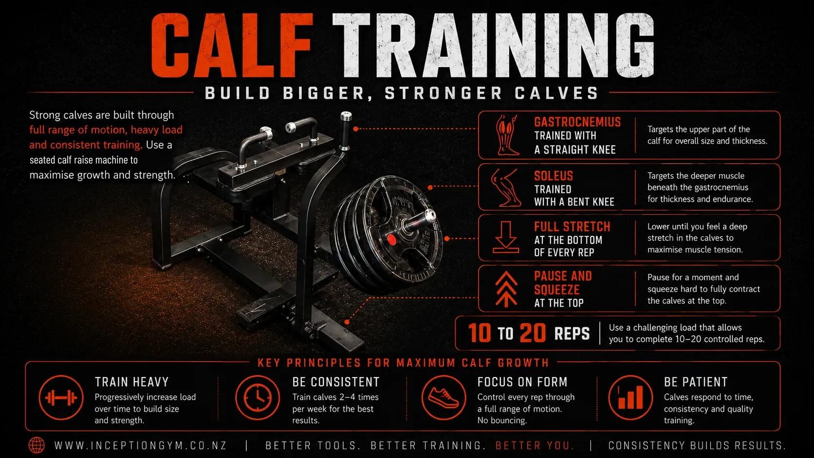 Calf training infographic at Inception Gym Christchurch: how to build bigger calves by training the gastrocnemius and soleus through a full range of motion