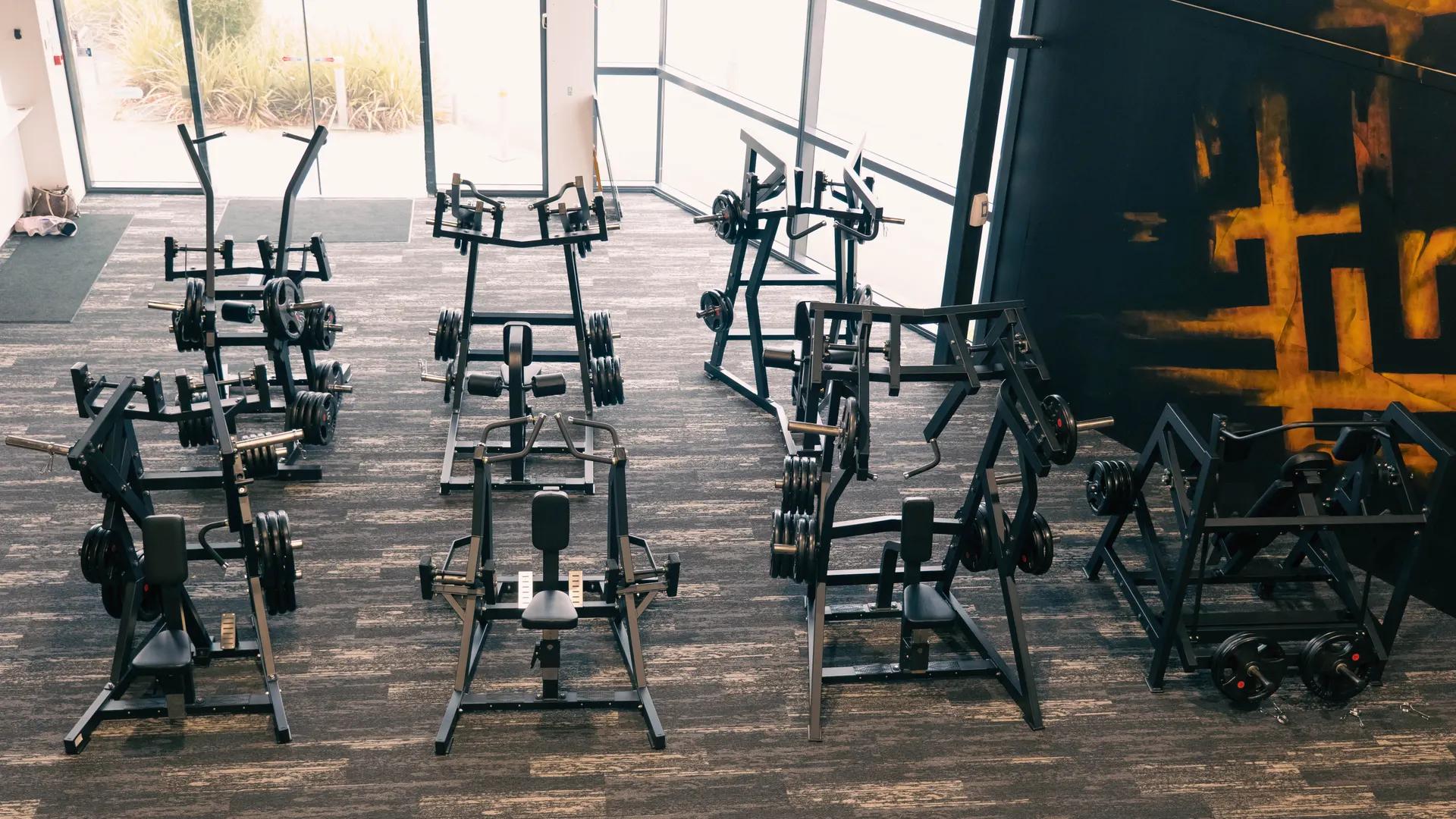 Pin-loaded back machines on the Inception Gym training floor
